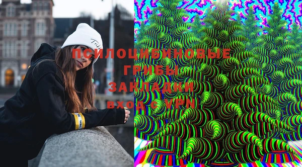 мяу мяу мука Архангельск