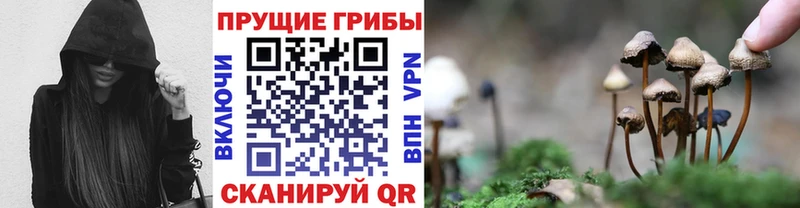 kraken зеркало  Александровск  Галлюциногенные грибы GOLDEN TEACHER 